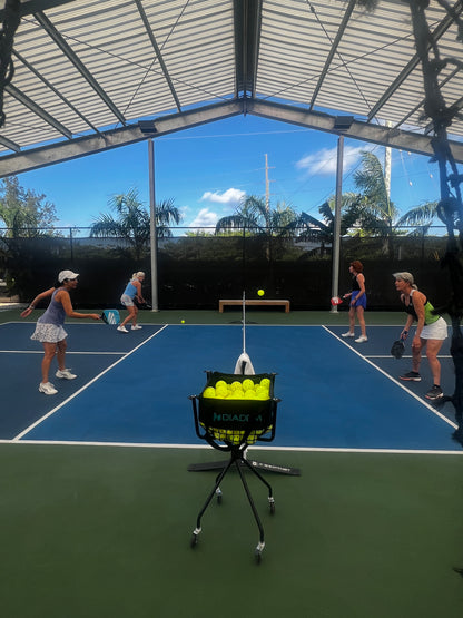 Grand Cayman February 2025