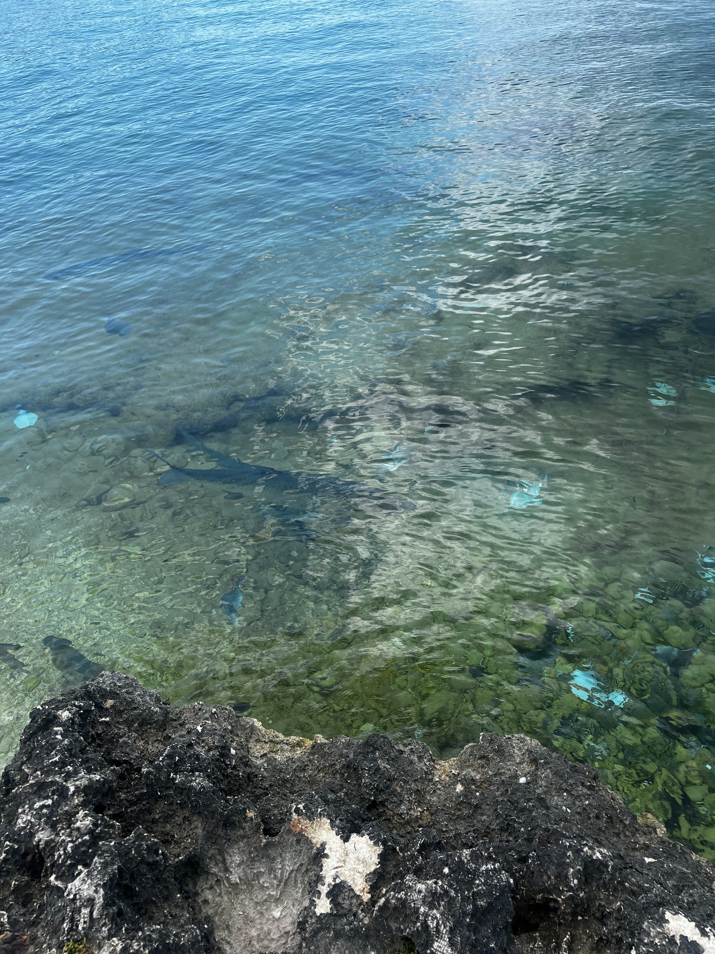 Grand Cayman February 2025