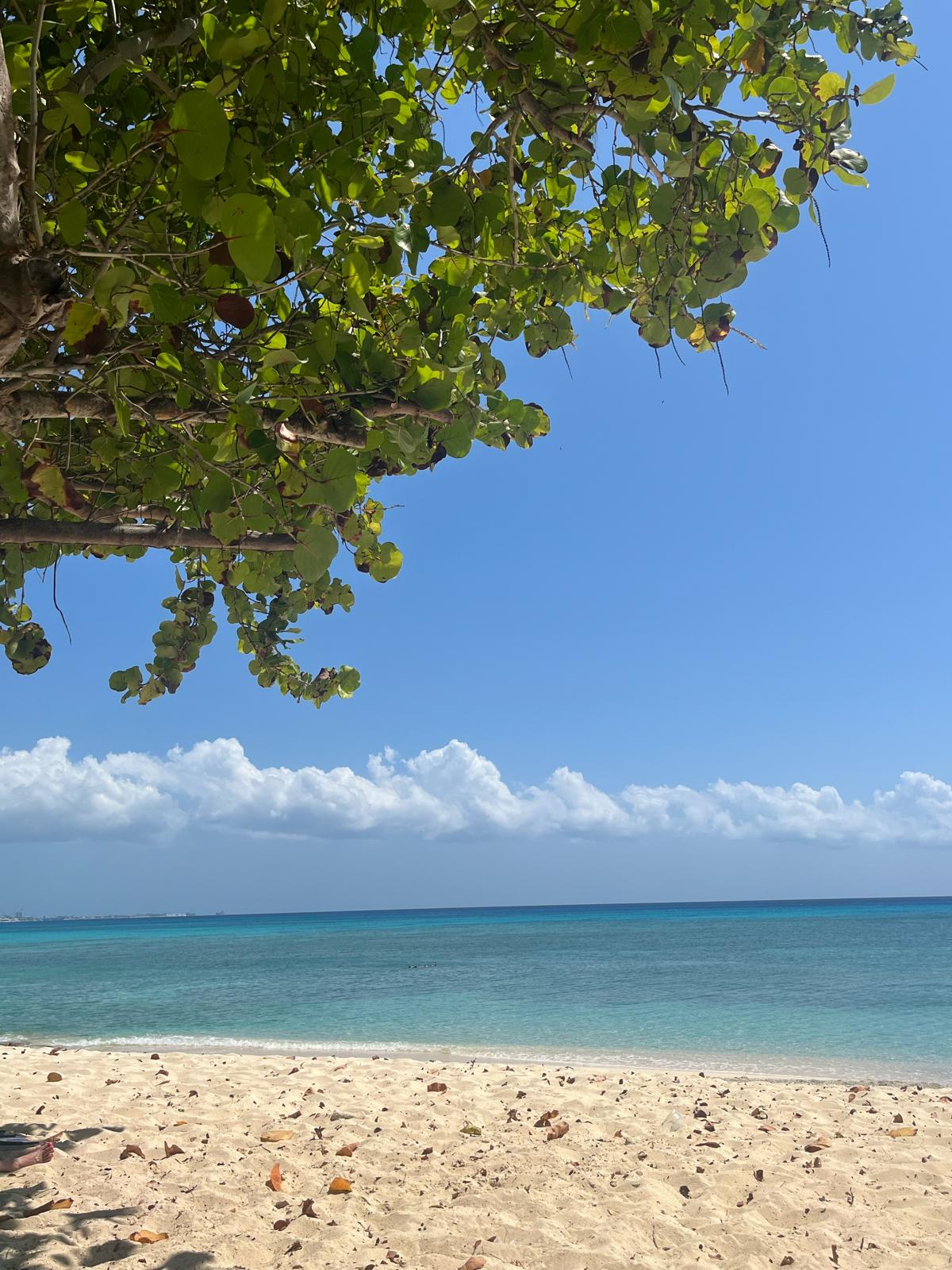 Grand Cayman February 2025