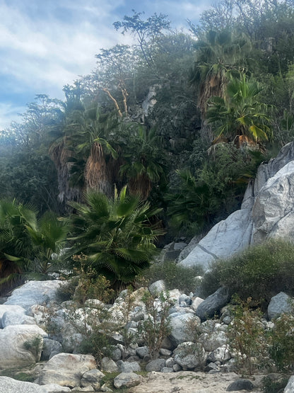 Los Barriles, Mexico March 8th-14th 2026