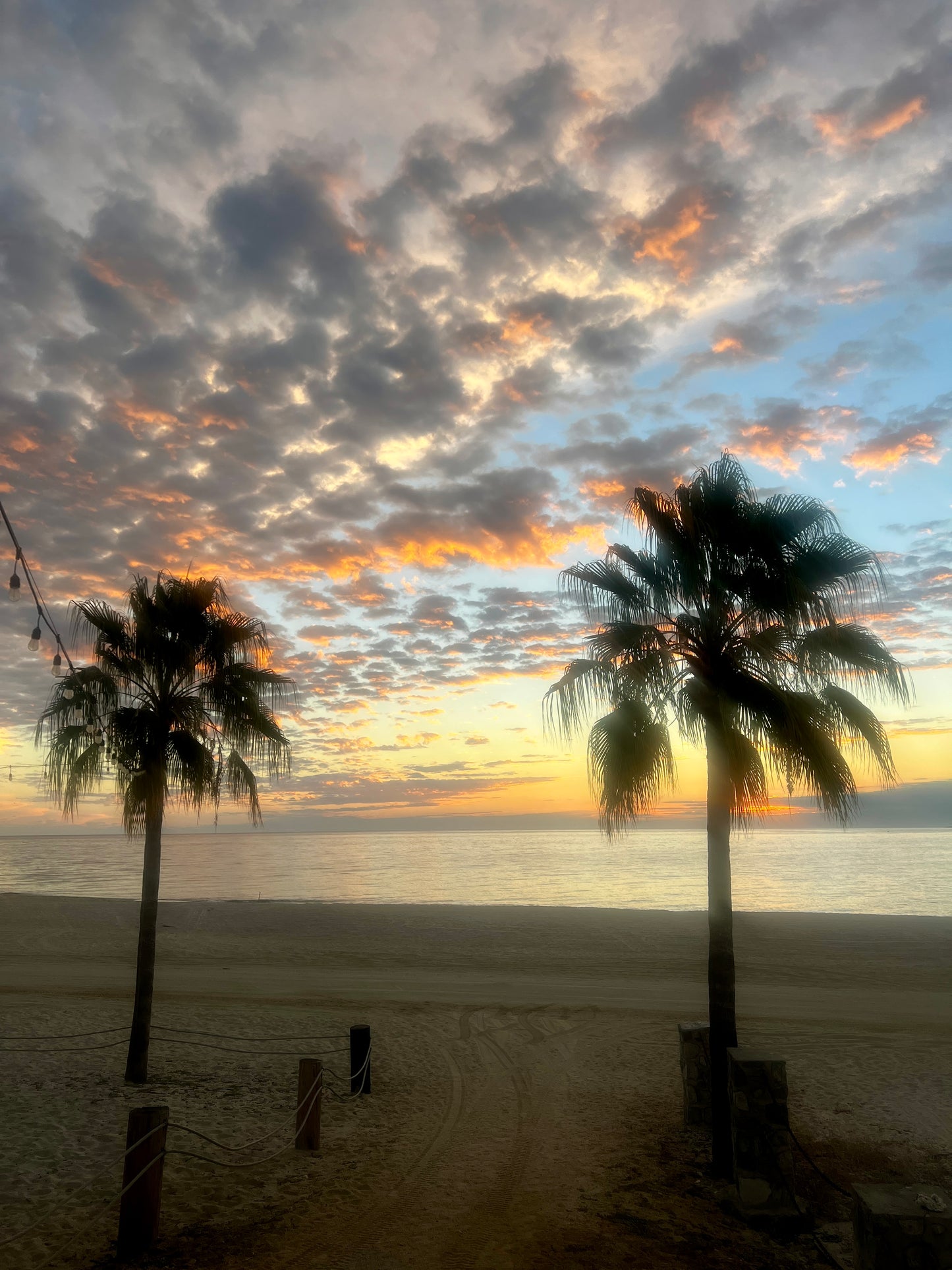 Los Barriles, Mexico March 8th-14th 2026