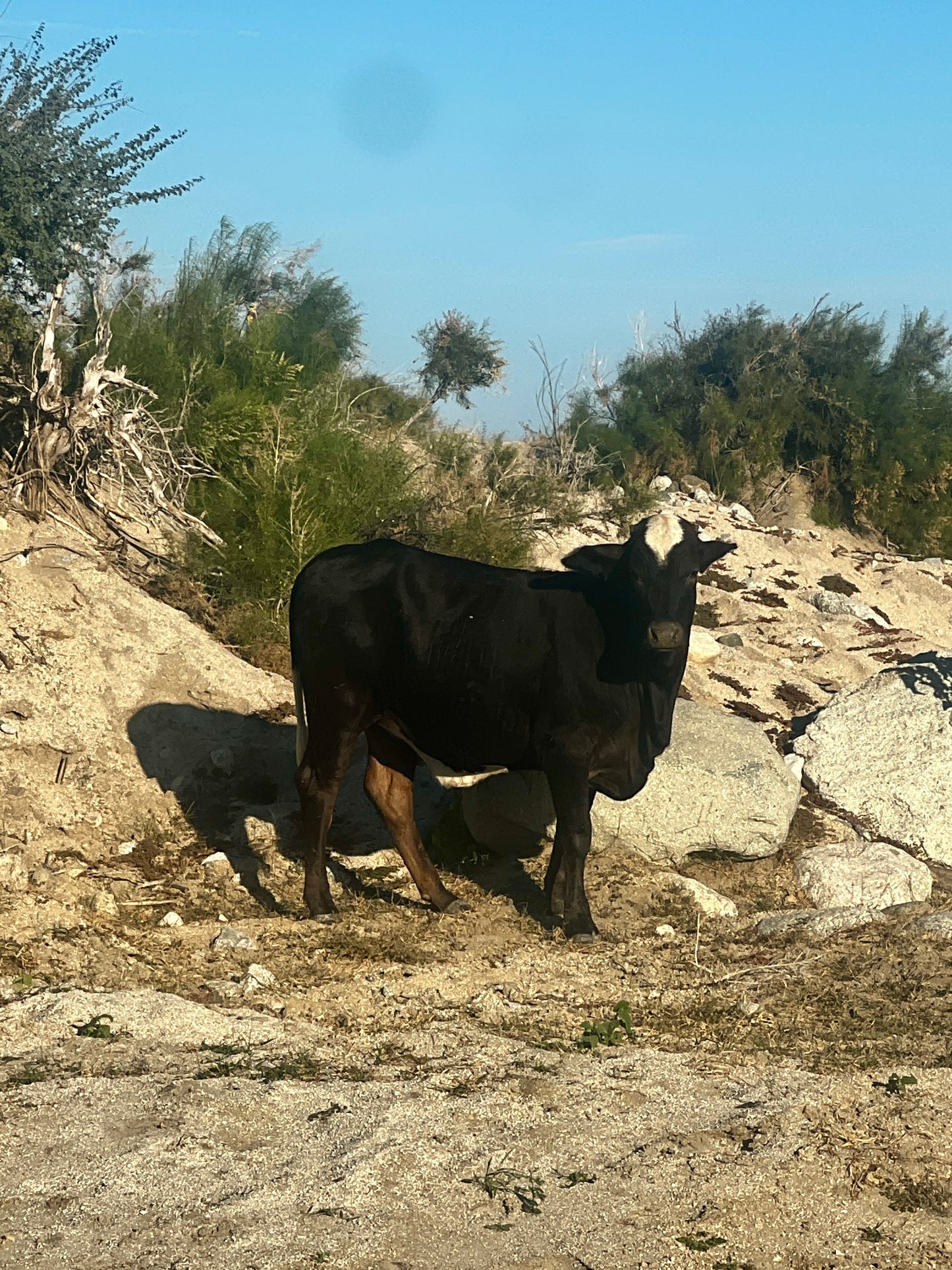 Los Barriles, Mexico March 8th-14th 2026